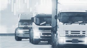 Horarios distribucion congelados